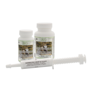 AVL Ivermectin Antiparasitic Syringe for Horses 15 ml