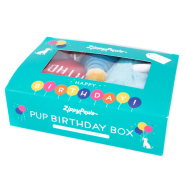 ZippyPaws Plush Toy Birthday Box