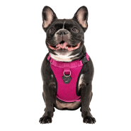 Canada Pooch Everything Harness Mesh Pink S