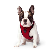 Canada Pooch Everything Harness Mesh Red S