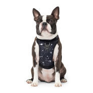 Canada Pooch Core Everything Harness Water-Rstnt Splatter S