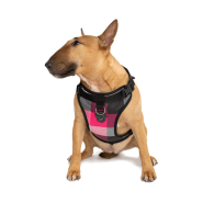 Canada Pooch Core Everything Harness Water-Rstnt PinkPlaid S