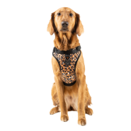 Canada Pooch Core Everything Harness Water-Rstnt Lprd XL