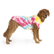 Canada Pooch No Authority Hoodie Tie Dye Size 24