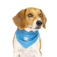 Canada Pooch Chill Seeker Cooling Bandana Blue Size S