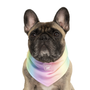 Canada Pooch Cooling Bandana Rainbow Size M