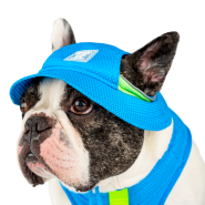 --Currently Unavailable-- Canada Pooch Chill Seeker Cooling Hat Blue Size S