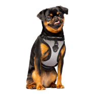 Canada Pooch Core Everything Harness Mesh Reflective S
