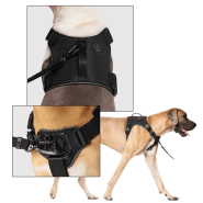 Canada Pooch Core Complete Control Harness Black S