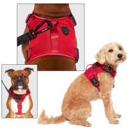 Canada Pooch Core Complete Control Harness Red S
