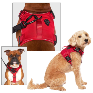 Canada Pooch Core Complete Control Harness Red L