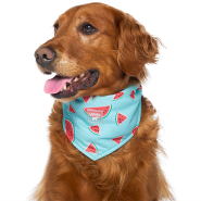 Canada Pooch Chill Seeker Cooling Bandana Watermelon Size S