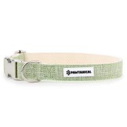 Pawtanical Hemp Collar Small 3/4"x10-16" Light Green