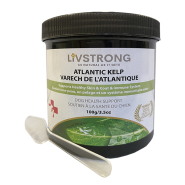 Livstrong Supplements Atlantic Kelp Powder 100g