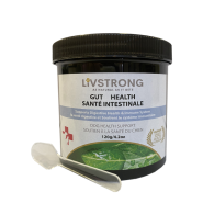 Livstrong Supplements Gut Health Support 120g