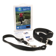 PetSafe Hands-Free Leash Black