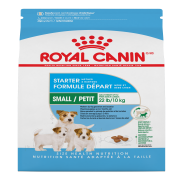 RC SHN Small Starter Mother/Babydog 2.5 lb