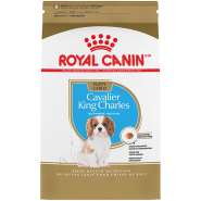RC BHN Cavalier King Charles Puppy 1.4kg