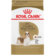 RC BHN Cavalier King Charles Adult 4.5kg