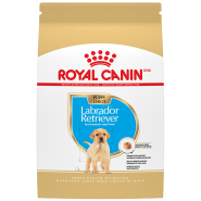 RC BHN Labrador Retriever Puppy 30 lb