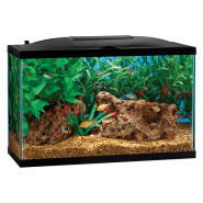 Marineland BIO Wheel LED Aquarium Kit 29