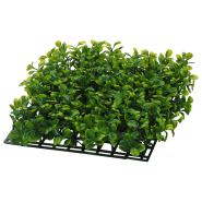 Marineland Boxwood Plant Mat