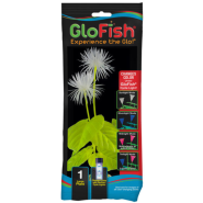 Tetra GloFish Plant Large Yellow Color Change