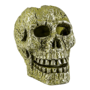 Tetra GloFish Ornament Skull