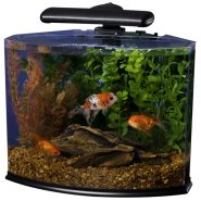 Tetra Crescent Kit 5 gal