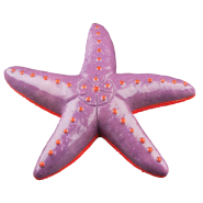 Tetra GloFish Ornament Sea Star