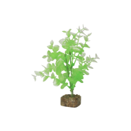Tetra GloFish Plant Medium Green/White