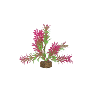 Tetra GloFish Plant Small Green/Pink