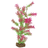 Tetra GloFish Plant Large Green/Pink