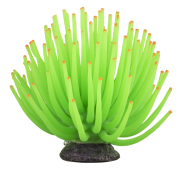 Tetra GloFish Anemone Large Green