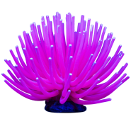 Tetra GloFish Anemone Large Pink