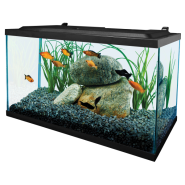 Tetra 10 Gallon Deluxe LED Kit