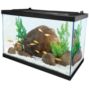 Tetra 20 Gallon Deluxe LED Kit