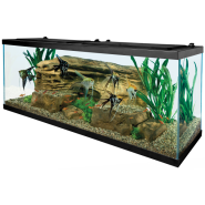 Tetra 55 Gallon Deluxe LED Kit