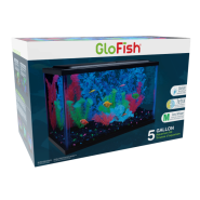 Tetra GloFish Aquarium Kit 5 Gallon