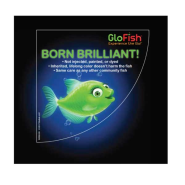 GloFish Born Brilliant Window Cling