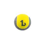 BeOneBreed Sturdybreed Tennis Ball 4"