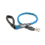 Bungee PupEE Leash 3
