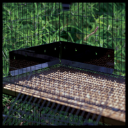 Precision Rabbit Urine Guard