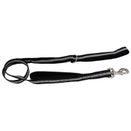 Coastal Double Handle Bungee Leash 4