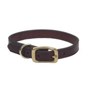 CircleT Latigo Leather Town Collar Brass 5/8x14"