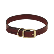 Circle T Latigo Leather Town Collar Brass 3/4x18"