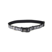 LazerBrite Refl Adj Collar 1" x 26" Skulls & Crossbones