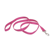 Nylon Leash 1 x 4