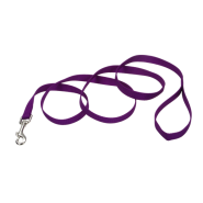 Nylon Leash 1" x 4' Purple