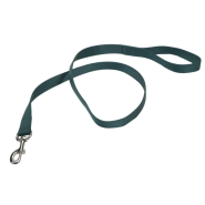 Nylon Leash 1" x 4' Hunter Green